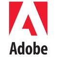 WebTV Light™ logo adobe